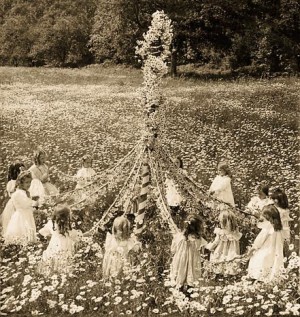 may-pole-daisies-600kb