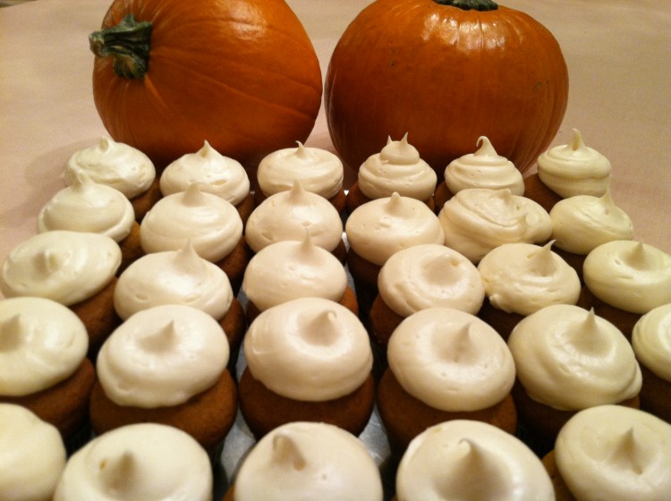 frosted cupcakes