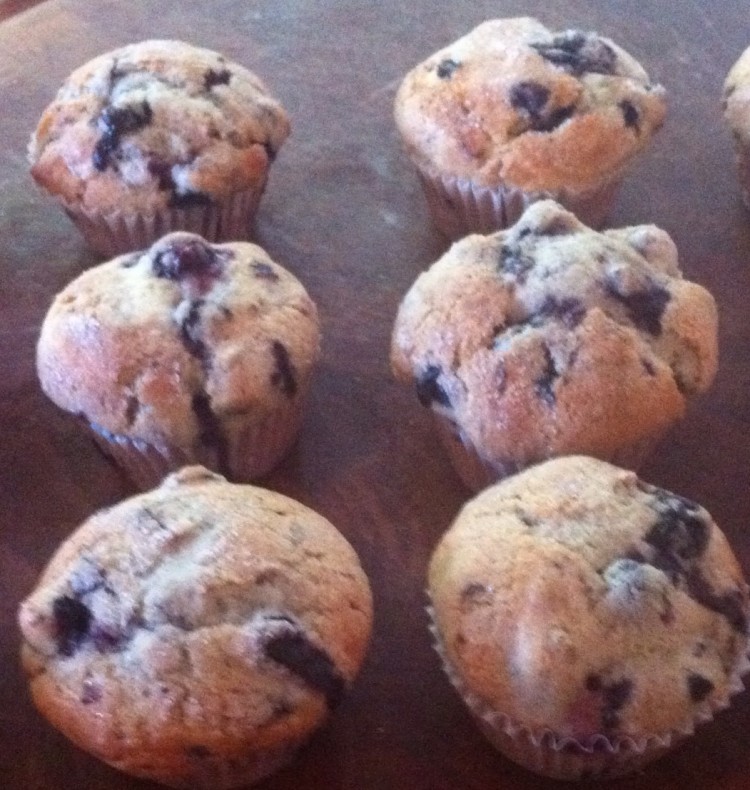 6- muffins close up