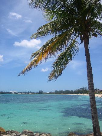 bahamas