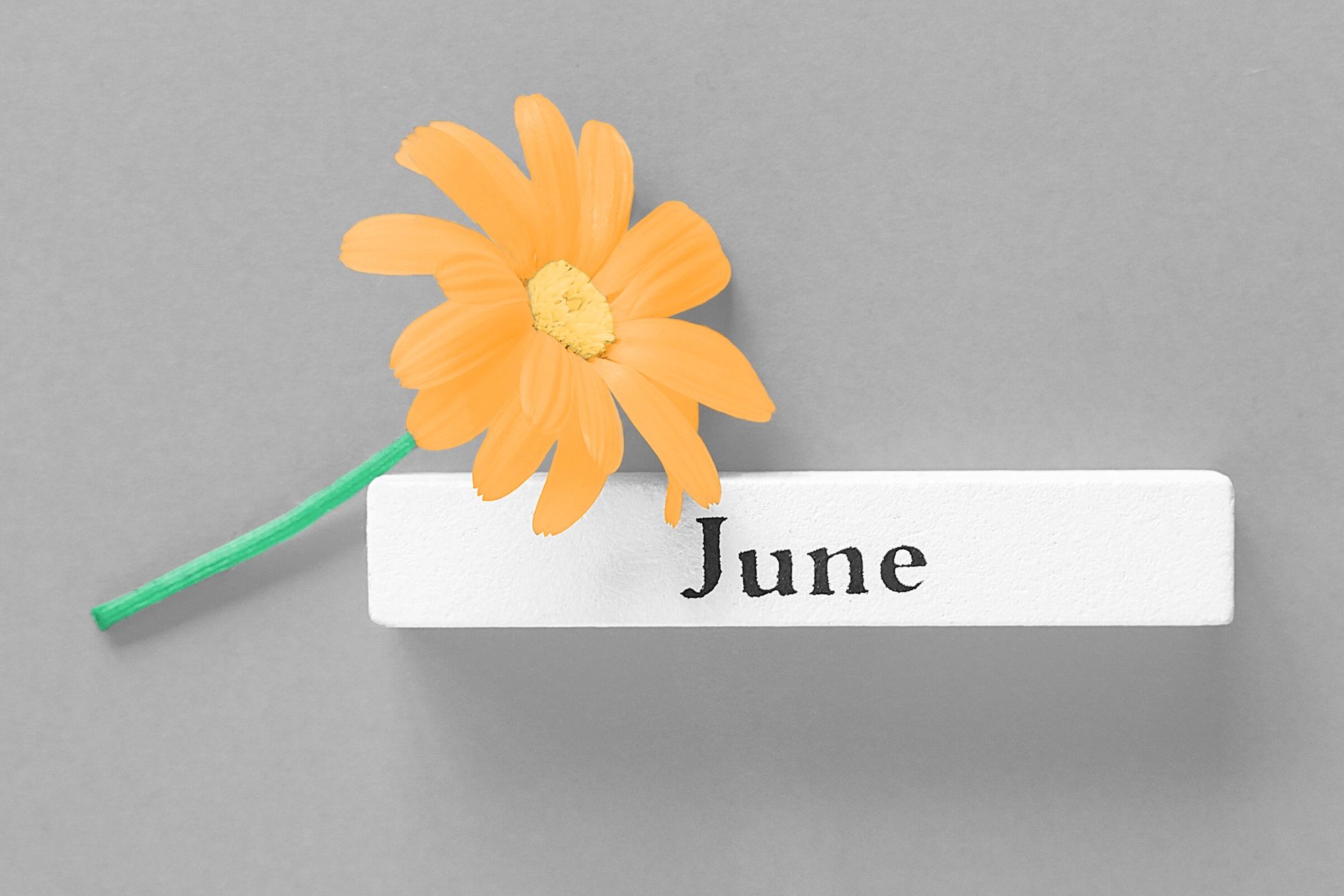 2nd half of june